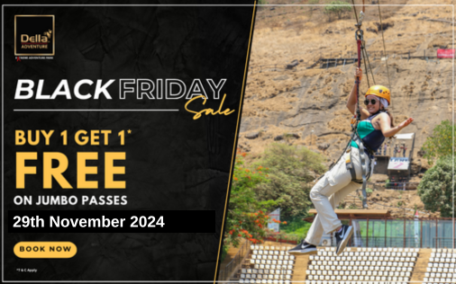 Black Friday Sale-29 Nov. 2024